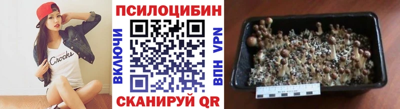где найти   Сосновоборск  Псилоцибиновые грибы Magic Shrooms 